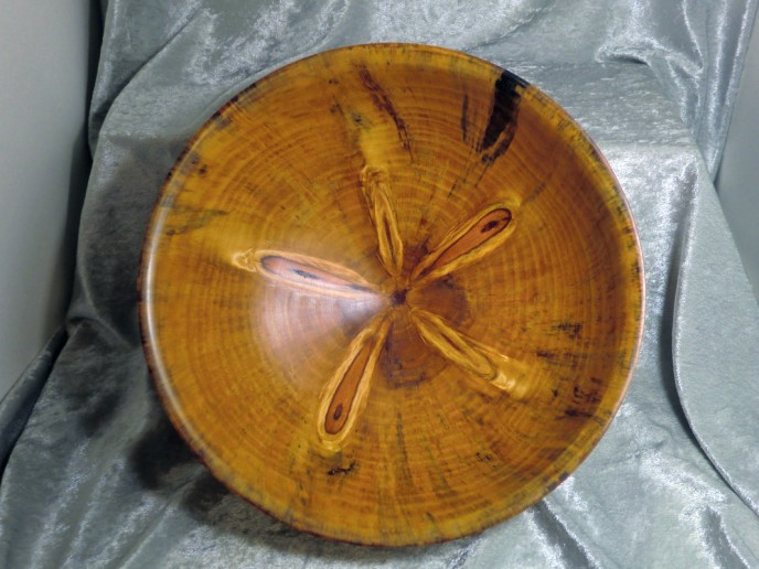 Norfolk Island Pine Bowl